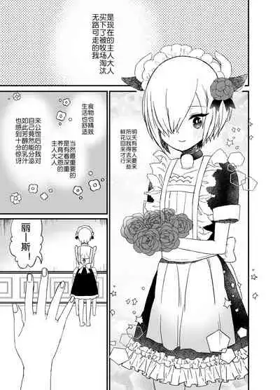 Noukou Ochinpo Milk Shibori