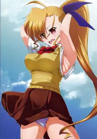 (C94) [Kodanukidou (Tappa)] Shiro Inu (Mahou Shoujo Lyrical Nanoha)