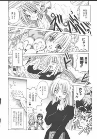 [Matra Milan] Palladium Garden