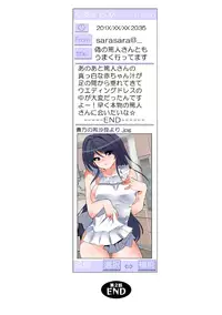 [Fujishima Sei1go] Nettori Neorare ~Gacchiri★Kairaku Land Zoukan~ [Digital]