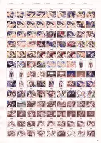 Natural 2 Duo Visual Fan Book