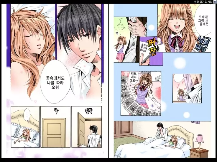 Naisho no Love Mariage | 비밀의 결혼