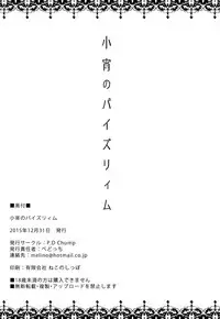 (C89) [P.D Chump (Pedocchi)] Koyoi No Paizuream [English] [MintVoid]