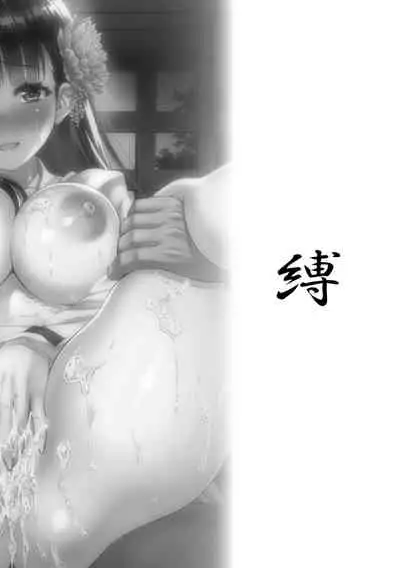 Niku Miko no Utage Yume