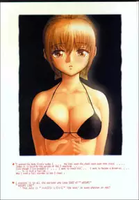 [RST Slave (Ebina Souichi)] Kasumi Love (Dead or Alive)