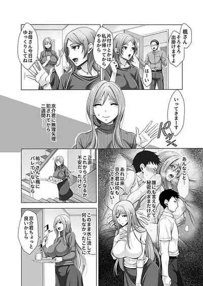 [Tsukishiro Saya] Hikawa-ka no Ibitsuna sei Jijō dai 2-4