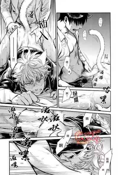(HaruCC19) [3745HOUSE (MIkami Takeru)] Like cat and dog (Gintama) [Chinese] [糖分漢化組]
