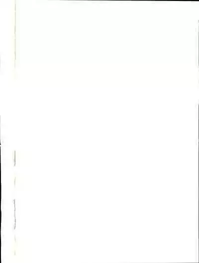 Shijousaikyou no Deshi e no Michi Toranomaki Honey Bump Kenichi Soushuuhen