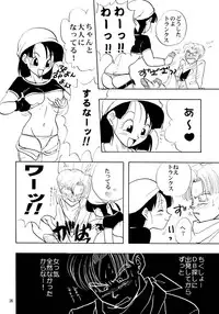 (C50) [Chirigami Goya, Fusuma Goten (Shoji Haruko, Kuri)] ZZ (Dragon Ball GT)