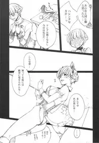 (C75) [Akai Tsubasa] LOVE FOOL.10 (Fantasy Earth Zero)