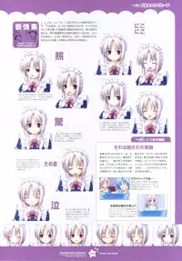 Tsunagaru Bangle - Visual Fan Book