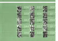 [Nishieda] Dendrobium (Decensored)