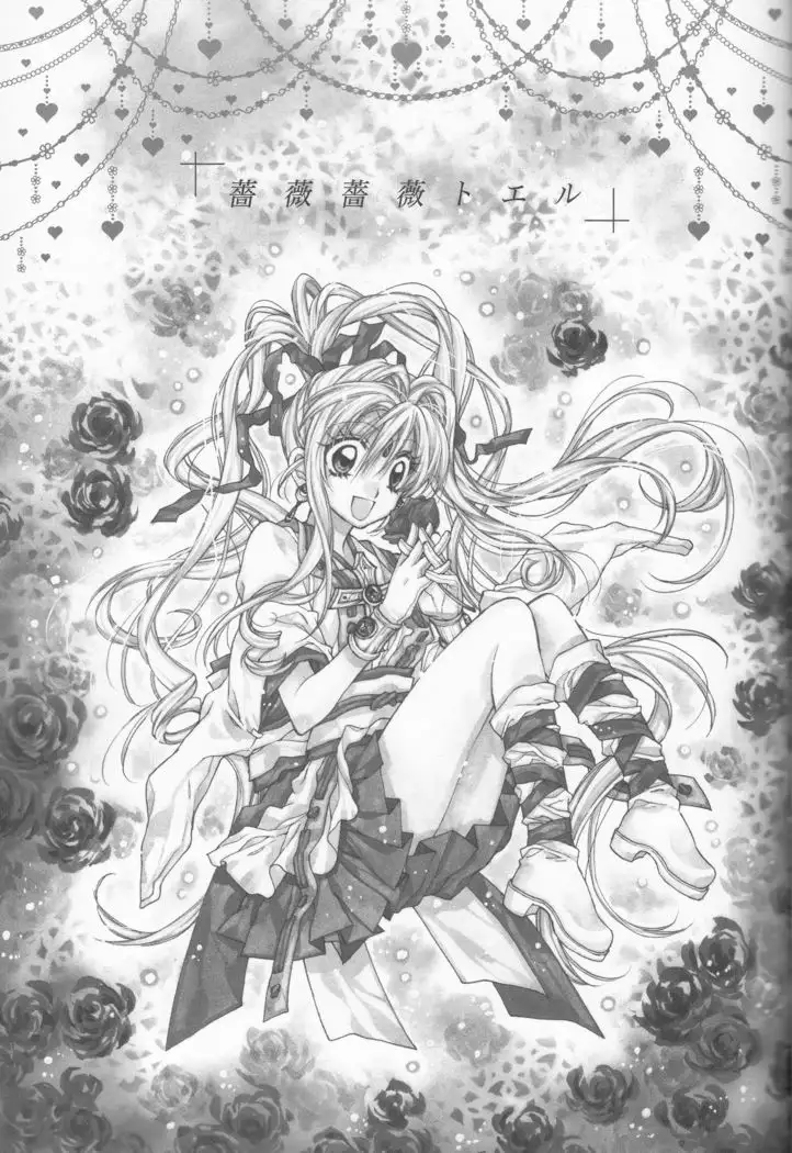 Bara Bara Toeru <Team Janus>