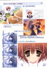 Otome wa boku ni koi shiteru Visual Fanbook (Otoboku)