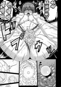 (C90) [Darabuchidou (Darabuchi)] Trigger (Dead or Alive) [Chinese] [无毒汉化组]