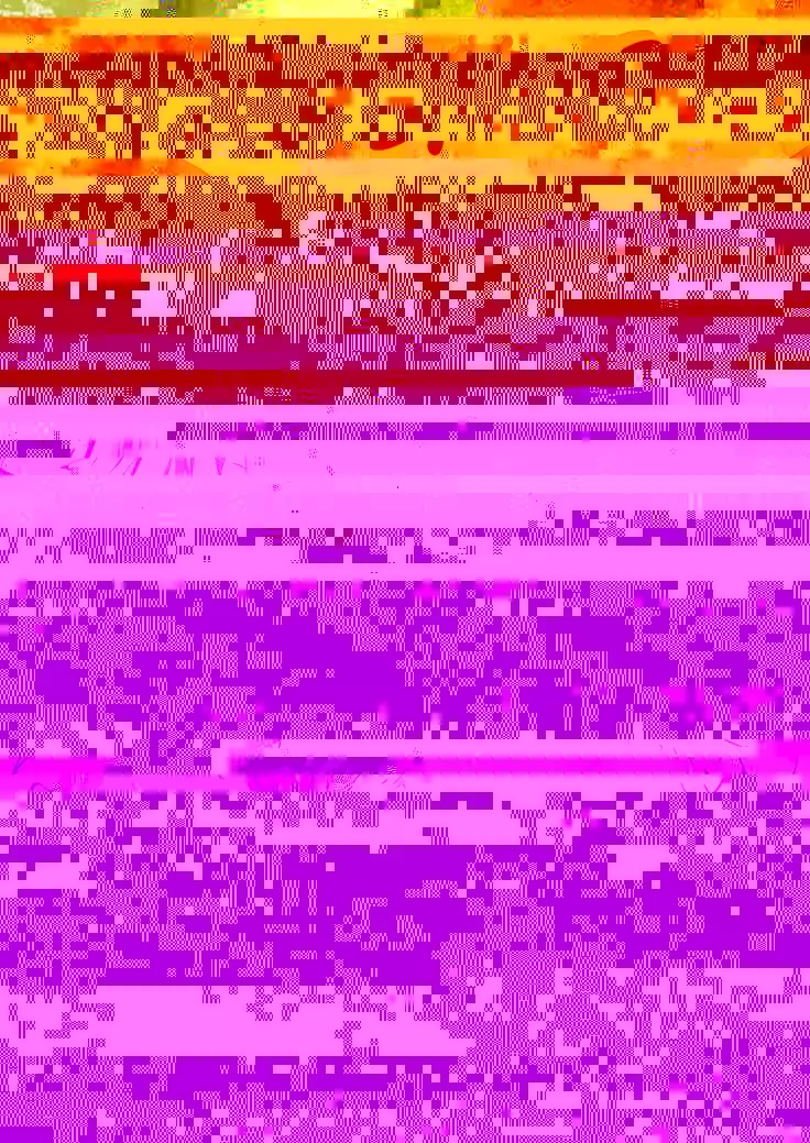 Chotto Dake! 2 | 아주 조금만! 2