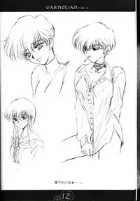 [CARNELIAN] CARNELIAN vol.2 - Re·Leaf Settei Shiryou Tsudo