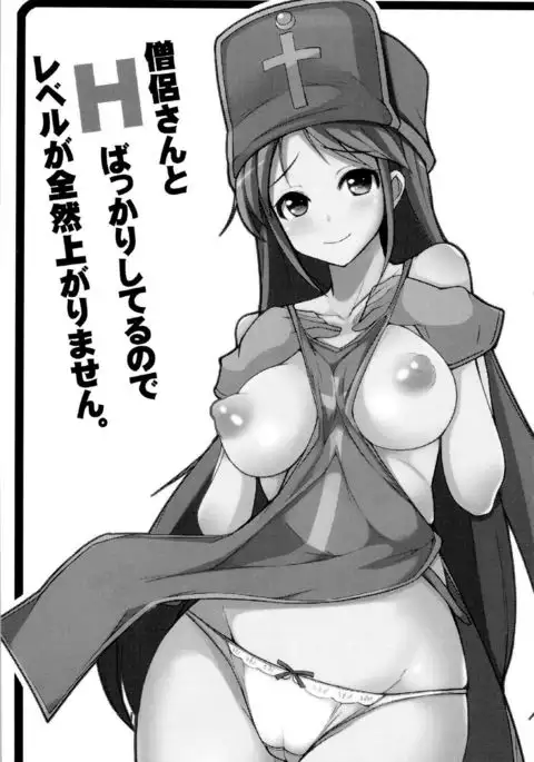 Souryo-san to H Bakkari Shiteru node Level ga Zenzen Agarimasen.