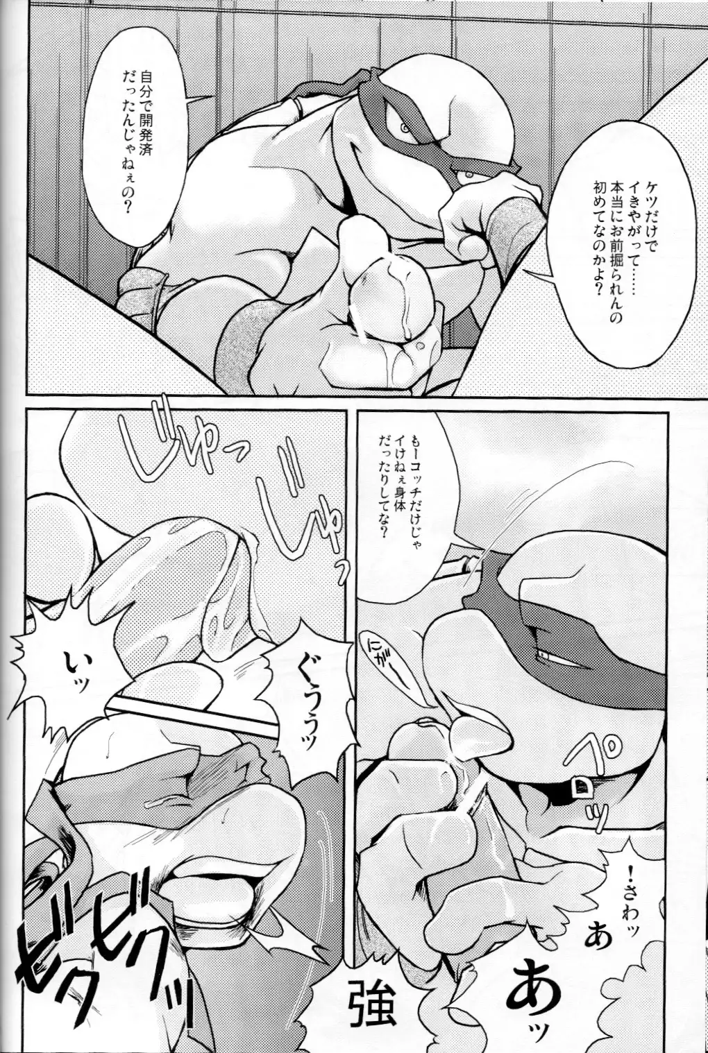 FALLEN - Raph vs Leo - Teenage Mutant Ninja Turtles, TMNT doujinshi