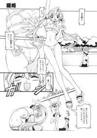 [Minako Nami] Nekohime Minako Nami Sakuhinshuu