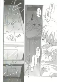 (COMIC1☆2) [PLUM (Kanna)] Mahou Shoujo Magical SEED LOGIC (Mahou Shoujo Lyrical Nanoha)