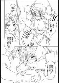 (C68) [Milts Chaya (Milts)] Abnormitaten (Dead or Alive)