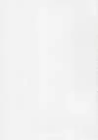 (C88) [Asaki Blog Branch Office (Asaki Takayuki)] Marcille Meshi (Dungeon Meshi)