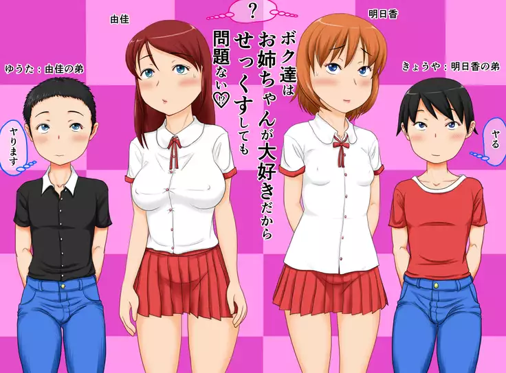 Boku-tachi wa onēchanga daisukidakara sekkusu shite mo mondainai