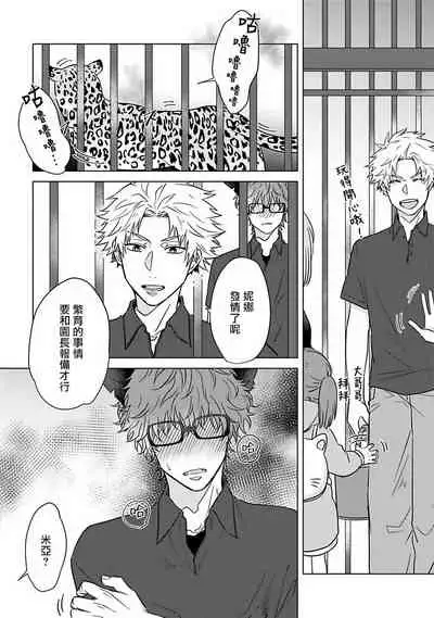 Fukurou no Koiwazurai | 猫头鹰的相思病