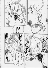 (C49) [Chirigami Goya / Fusuma Goten] Z (Dragonball)