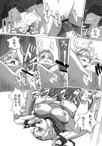 (C76) [Makikusu (Makinaru)] QUEEN'S BREAK HISTORY (Queen's Blade)