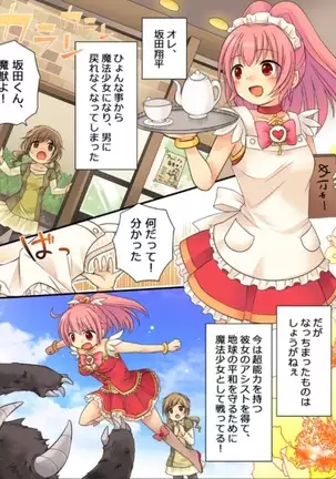 Okashi Tsumeawase Pack Kuratsuka Ichimi