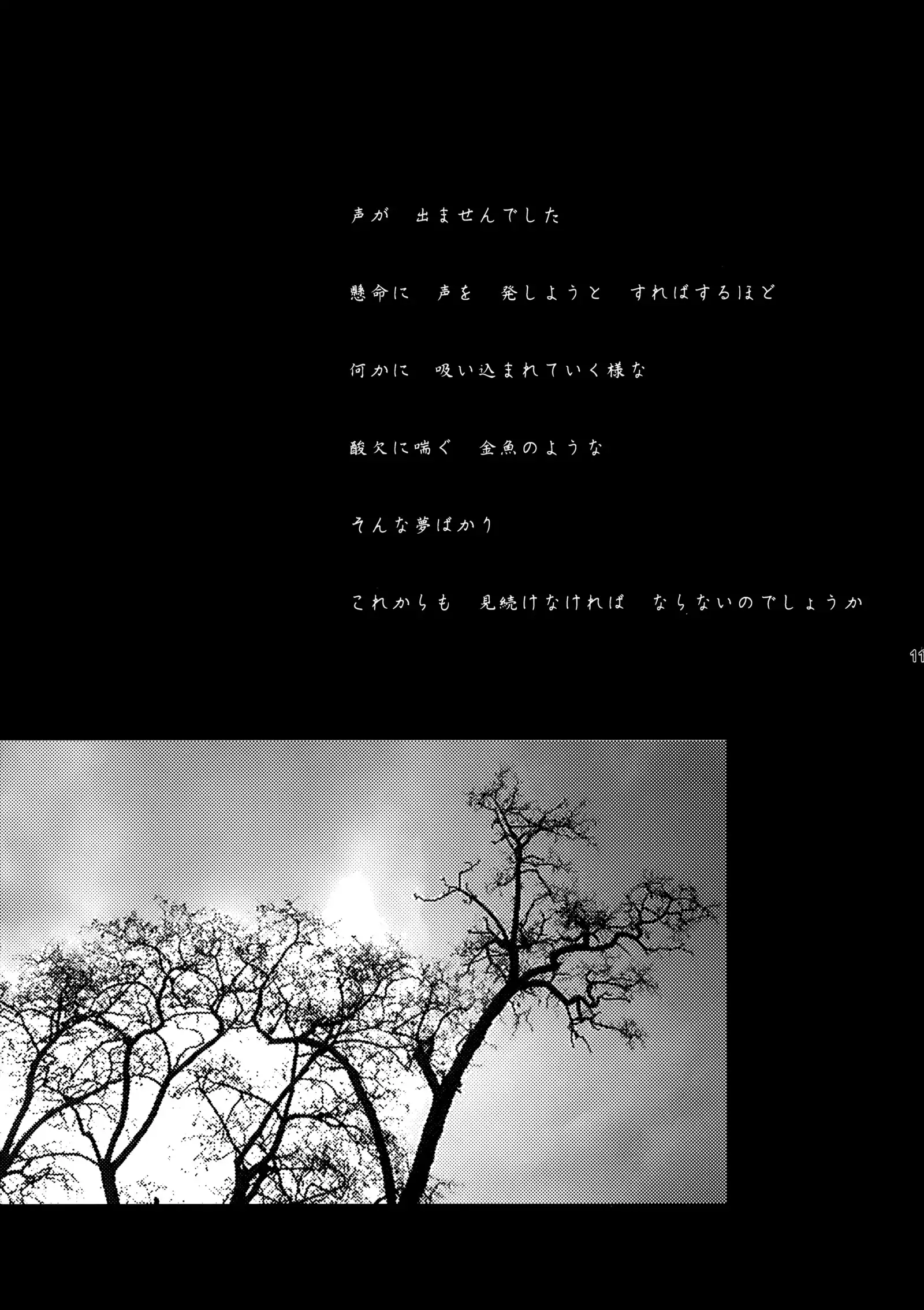 Shiori Dai-Yon-Shou Futarime no Jushin Shinsouban