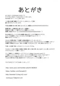 (C95) [L5EX (Kamelie)] Sagiri no Present (Kantai Collection -KanColle-)