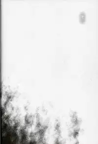 (C86) [Cyclone (Izumi, Reizei)] T-20 Fei Tas (Mahou Shoujo Lyrical Nanoha)