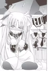(C83) [EINSATZ GRUPPE (Charlie Nishinaka)] DOG FATE (Mahou Shoujo Lyrical Nanoha)