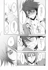 [Zetsujouka (Saki, Kaino)] Dogma (Star Driver)