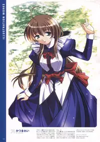 Natural 2 Duo Visual Fan Book