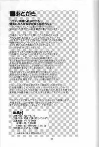 (C72) [Tomoshibiya Koubou (Tomoshibi Hidekazu)] Little Meister (Summon Night)