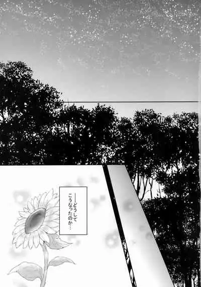 (C95) [S.clock+ (Kurobe Tomo)] Bloody Soul Lover 2 (Hellsing)