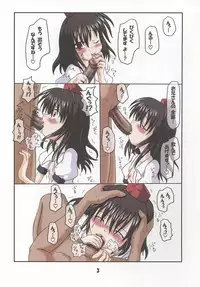 [Schwester (Shirau Inazaki)] Rollin 20 (Touhou Project)