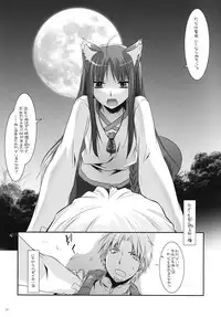 (COMIC1☆2) [Digital Lover (Nakajima Yuka)] D.L. action 43 (Spice and Wolf)