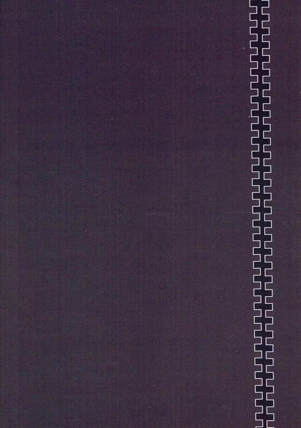 Ram Rem Route Totsunyuu!?