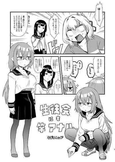 Seitokai ni mo Sao Anal