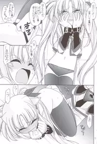 (C83) [EINSATZ GRUPPE (Charlie Nishinaka)] DOG FATE (Mahou Shoujo Lyrical Nanoha)