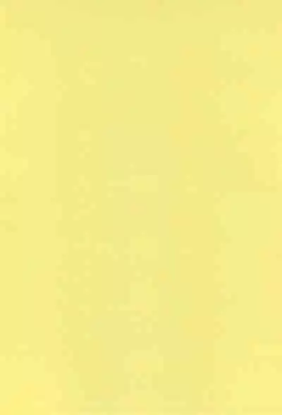 SYL - Spread Your Legs