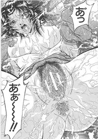 [Iio Tetsuaki] SET UP