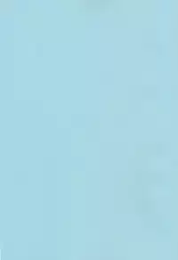 (C80) [Enuma Elish (Yukimi)] OMD (Steins;Gate) [English] [Tonigobe]