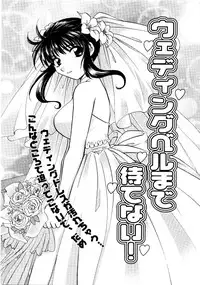 [Hirose Miho] Ano ko ga ishou o kigae tara