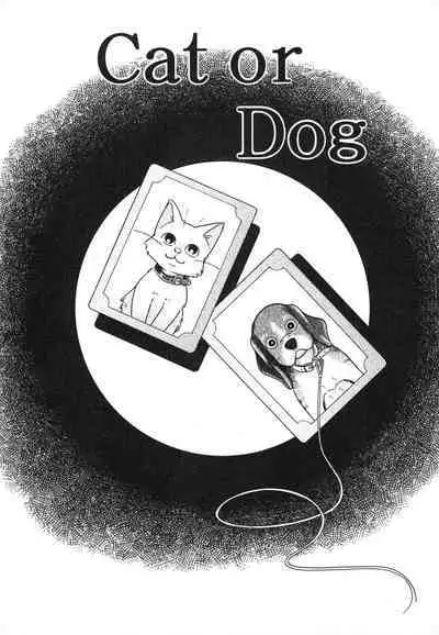 Hare Tokidoki Nurenezumi